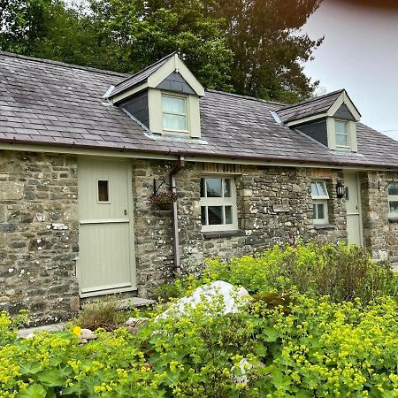 Crug Yr Eryr Isaf Villa Llandysul Ngoại thất bức ảnh