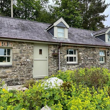 Crug Yr Eryr Isaf Villa Llandysul Ngoại thất bức ảnh
