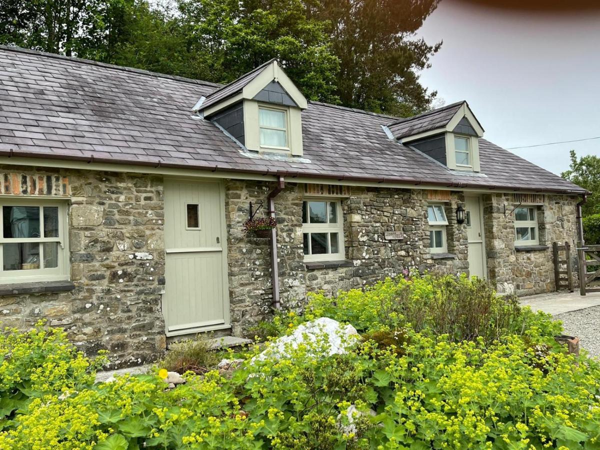 Crug Yr Eryr Isaf Villa Llandysul Ngoại thất bức ảnh