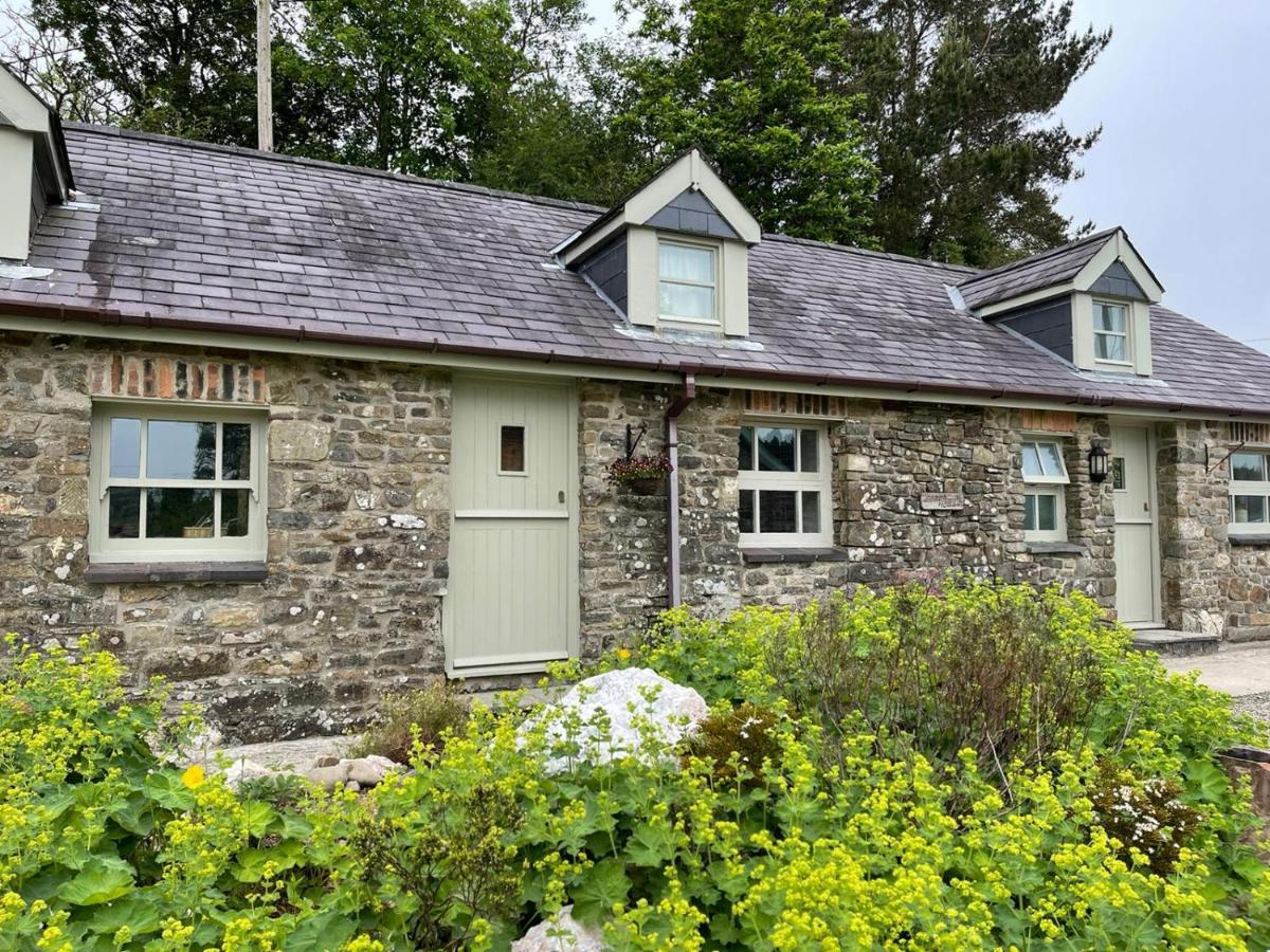 Crug Yr Eryr Isaf Villa Llandysul Ngoại thất bức ảnh
